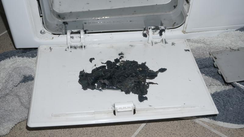 Flusensumpf säubern