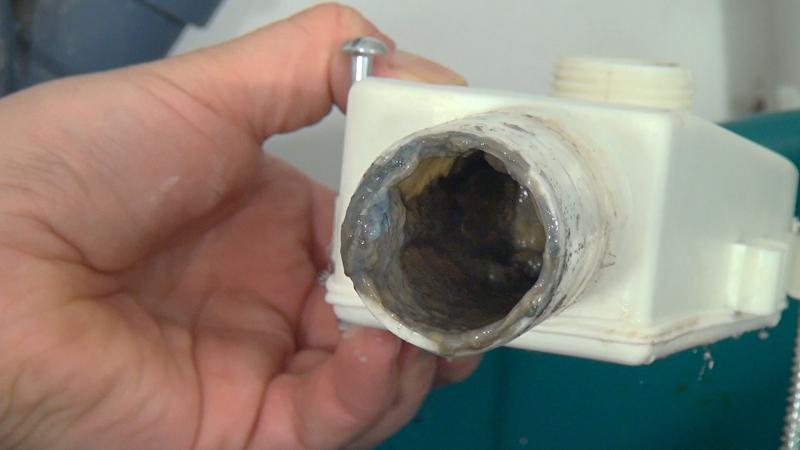 Blick in den abmontierten Siphon Blick in den abmontierten Siphon