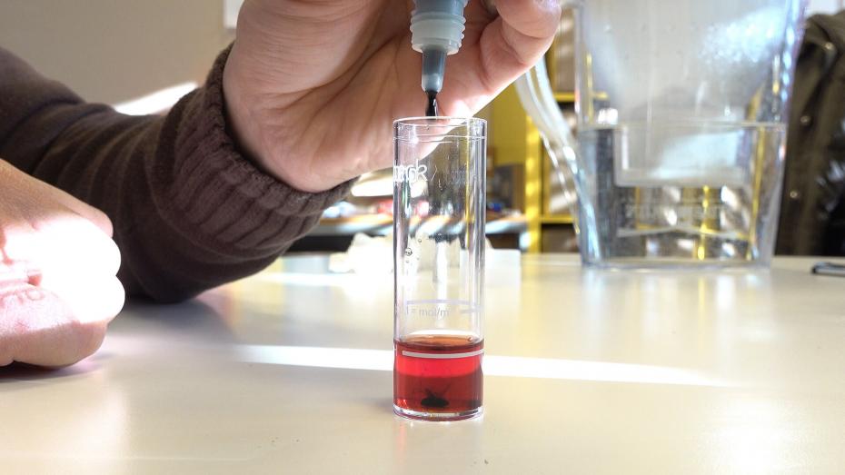 Geschirrspüler: Wasserhärte bestimmen und der Test eines Wasserfilters